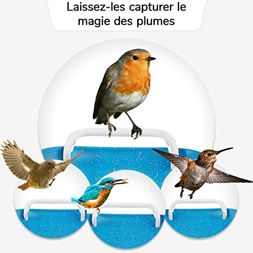 Intellectuales Comedero de pájaros, AI Recognition Identificación de pájaros (más de 10.000 especies), captura de imágenes de aves Cámara Nocturna de observación de pájaros, Base Lourde