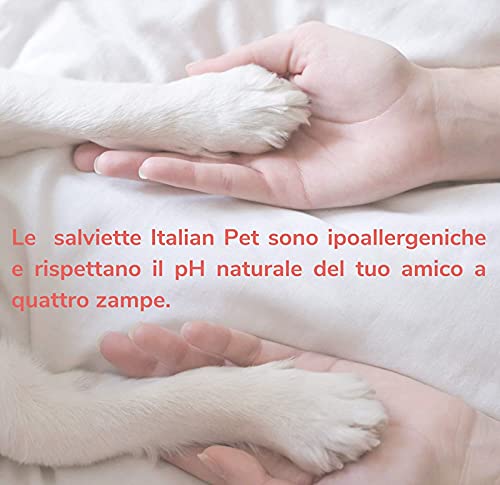 Italian Pet Toallitas de Clorhexidina para la higiene de Perros y Gatos. Toallitas Desinfectantes para limpiar las patas y el pelo de tu mascota. Hipoalergénicas y Resistentes. Grandes (40 Unidades)