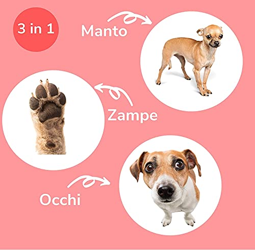 Italian Pet Toallitas de Clorhexidina para la higiene de Perros y Gatos. Toallitas Desinfectantes para limpiar las patas y el pelo de tu mascota. Hipoalergénicas y Resistentes. Grandes (40 Unidades)