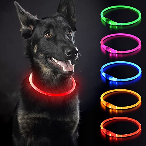 iTayga Collar Luminoso LED Perro Recarable Collares Luminosos para Perros 5 Colores Haga Que su Perro Sea Muy Visible en la Oscuridad, Collar con Luz Perro Pequeño,Mediano,Grande. Rojo