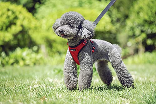 JdotMIN Arnés para perros sin tirar, chaleco de verano de malla transpirable reflectante ajustable, para perros pequeños y medianos (rojo, M)