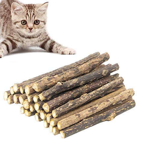 JIASHA Palitos de Catnip para Gatos, Juego de 30 palitos de Hierba gatera para Gato,Protección del Cuidado Dental, Adecuado Juguete para Gatos de Interior (1)
