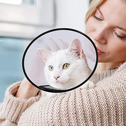 JieGuanG Cono para mascotas, plástico Vitality Regeneration Taper para gato Mini Perro Conejo, Blanco