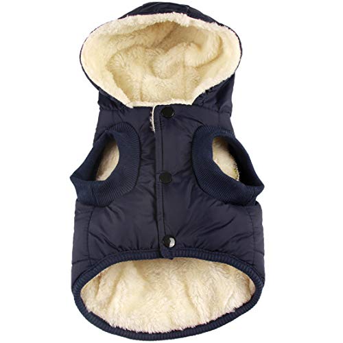 JoyDaog - Sudadera con capucha para perro con forro polar cálido en invierno, chaqueta con capucha para perros pequeños, color azul, talla XS