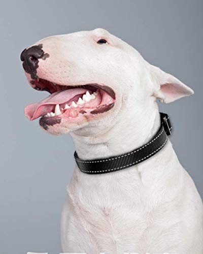 Joytale Collar Perro Reflectante,Nylon Collar Acolchado con Neopreno,Ajustable para Perros Pequeño,30-40cm,Negro