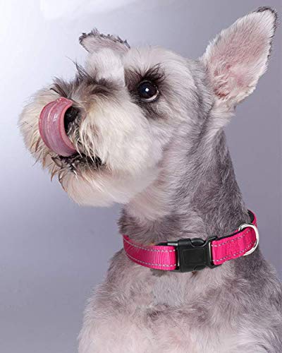 Joytale Collar Perro Reflectante,Nylon Collar Acolchado con Neopreno,Ajustable para Perros Pequeño,30-40cm,Rosa Caliente