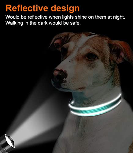 Joytale Collar Perro Reflectante,Nylon Collar Acolchado con Neopreno,Ajustable para Perros Pequeño,30-40cm,Verde Azulado