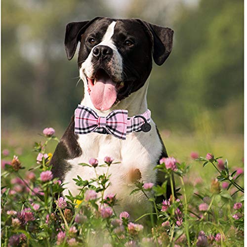 Juego de Collar y Correa de Tela Escocesa Rosa para Perro con Pajarita Collar de Regalo de cumpleaños de algodón para Cachorro de Mascota Ajustable, XS