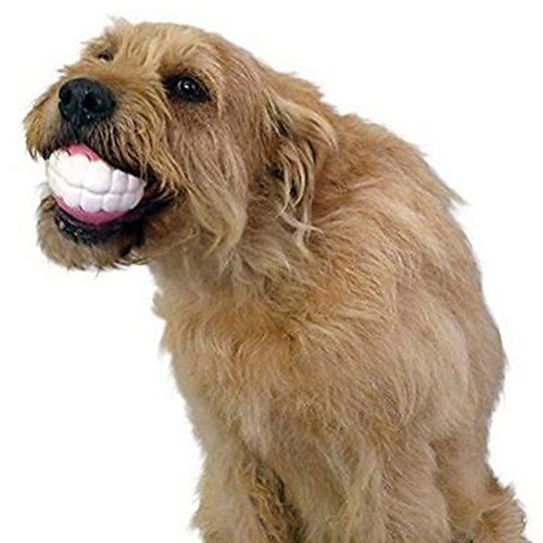 Juguete de dientes para perro, pelota, para masticar, para limpiar los dientes y entrenar a los cachorros, animales de compañía