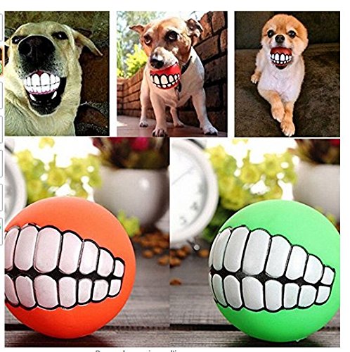 Juguete de dientes para perro, pelota, para masticar, para limpiar los dientes y entrenar a los cachorros, animales de compañía