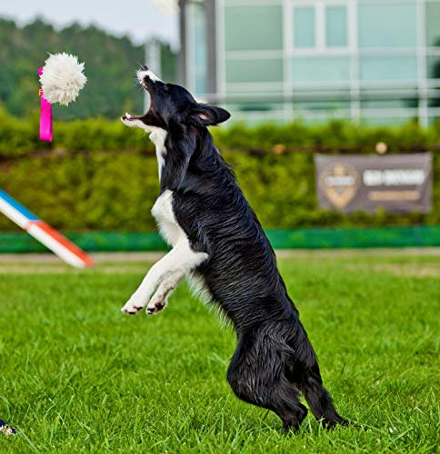 Juguete para perro DINGO - piel de oveja con bungee negro, tirón de recompensa de motivación de agilidad para entrenamiento y diversión 15579