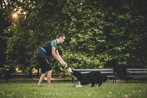 Juguete para perro DINGO - piel de oveja con bungee negro, tirón de recompensa de motivación de agilidad para entrenamiento y diversión 15579