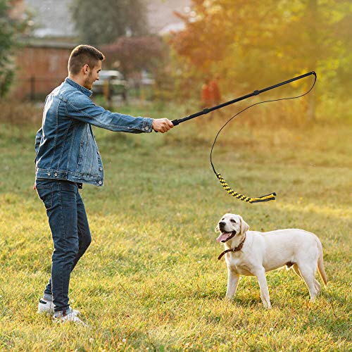 Juguete profesional para perros con forma de ángel, ideal para entrenar al aire libre, para promover el perro de forma interactiva con cuerda y cuerda de repuesto.