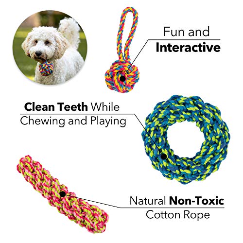 Juguetes de cuerda para perro, juego de 10 diferentes juguetes para perros grandes y pequeños