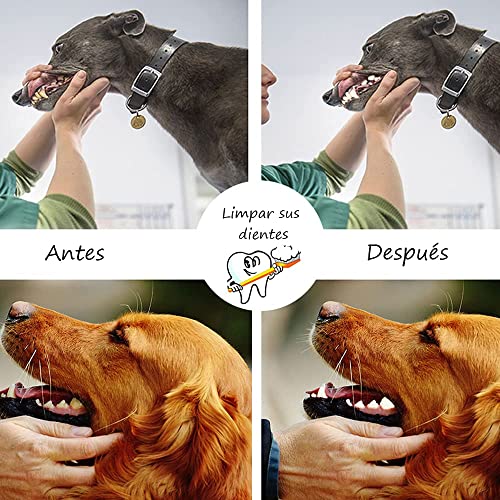Juguetes para Cachorros Perros Cuerda para Masticar Interactivos, Durable Juguetes para Perros Entrenamiento de Dentición,7 Piezas