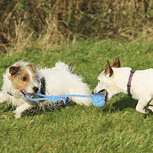 Juguetes para Masticar Perros Juego de Juguetes para Perros de Cuerda, Juguetes para Masticar Perros, Juguete para Masticar Cuerda de dentición para Cachorros (11/Pack)