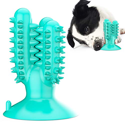 Juguetes para masticar perros, juguetes de goma duraderos para perros para masticadores agresivos, juguetes resistentes de cactus para entrenar y limpiar los dientes, juguetes interactivos para perros