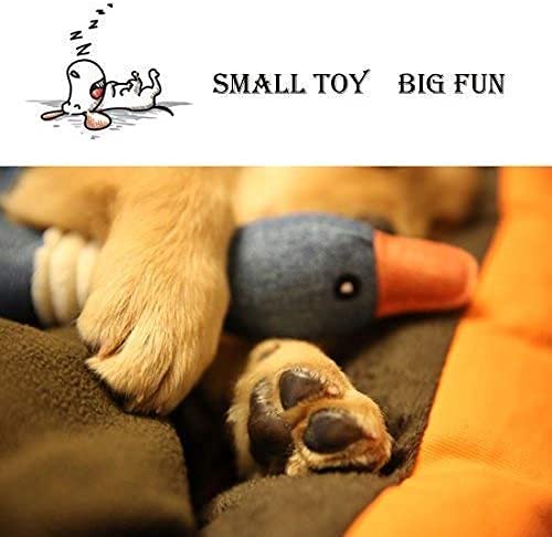 Juguetes para Perros Juguete Perro Mascotas Accesorios Peluche Cachorros Interactivo Pequeños Juegos Dog Toys Forma De Ganso Salvaje, Suave, Regalo Azul Versión Sorpresa