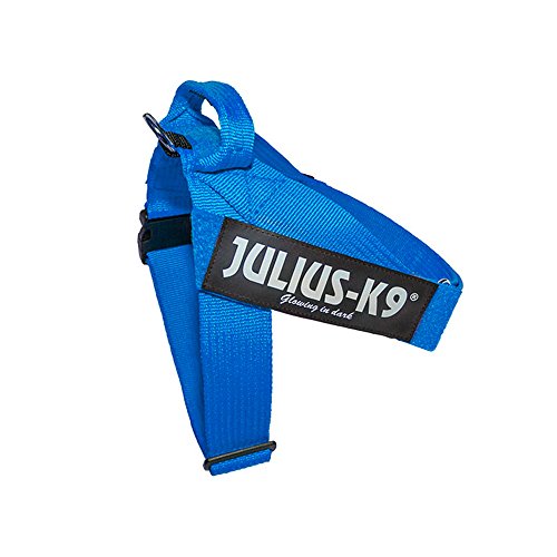 Julius-K9 16503 de IDC de B IDC – Correa Vajilla tamaño 3 – Pecho: 82 – 110 cm, Color Azul