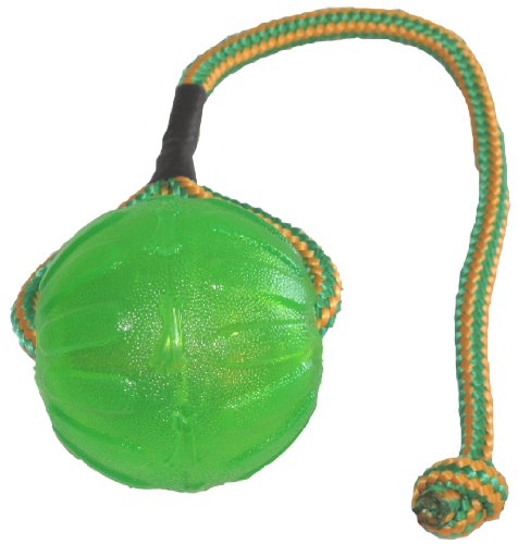 Julius-K9 59836 Swing & Fling Chew Ball - M/L, 9 cm, M, Multicolor