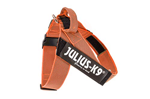 Julius-K9 Color & Gray Arnés de Correa de IDC, Tamaño: 3, Naranja-Gris