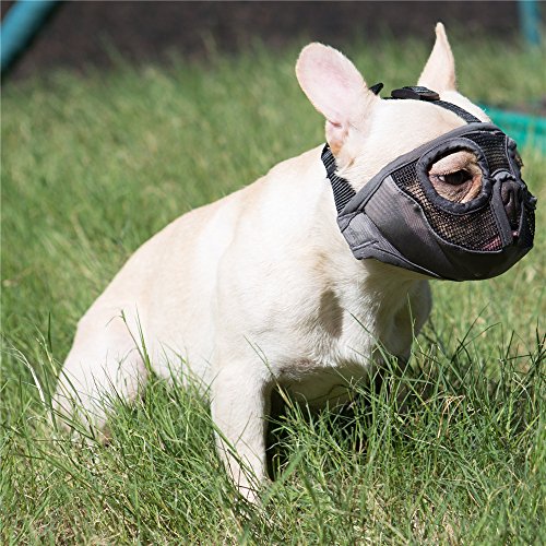 JYHY - Bozal Corto para Perro con Forma de Bulldog de Malla Transpirable Ajustable para mascarar, Cortar y Entrenar a Perros (S(9"-12"), Gris(Ojo))