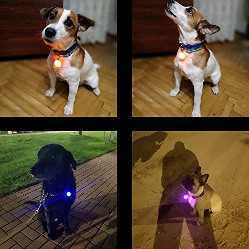 JZK 8 x Collar LED luz Perro Clip-on Mascotas Collar Luces de Colores de Seguridad Luminoso de Noche Impermeable con 8 reemplazo batería para Mascota Perros y Gatos por Noche Caminar