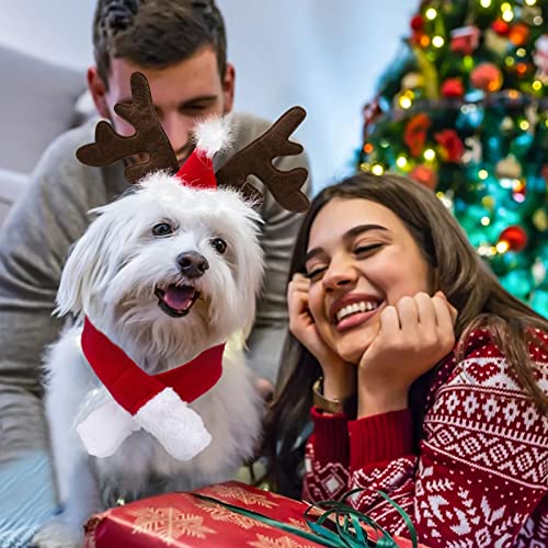 KATELUO Disfraz de Navidad para Mascotas,Sombrero Bufanda de Santa Navidad de Gato Perro, para Fiestas de Navidad, Decoraciones para Fiestas (Estilo 2)