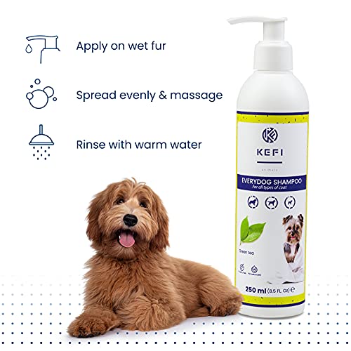 KEFI Animals Everydog - Champú para perros con aroma a té verde, botella con dispensador, 250 ml