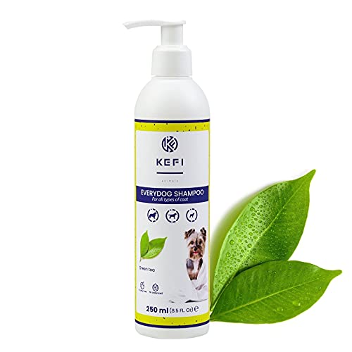 KEFI Animals Everydog - Champú para perros con aroma a té verde, botella con dispensador, 250 ml