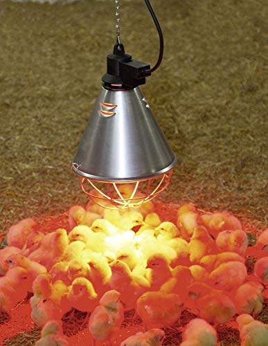 Kerbl - Kit de lámpara de rayos infrarrojos calefactora de 250 W + reflector portalámparas con rejilla de protección, cadena de fijación y cable de 2,5 m