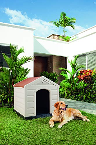 KG KITGARDEN - Caseta de jardín para perro grande, 90x92x89 cm, Beige/Terracota, Kennel Large