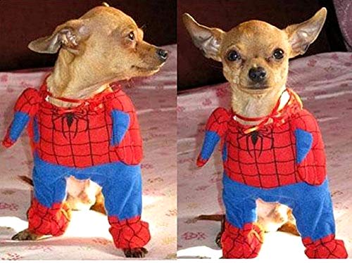 KIRALOVE Disfraz de Spiderman - Spiderman - Perro - s - Disfraces - Carnaval de Halloween - Idea de Regalo Original Spiderman