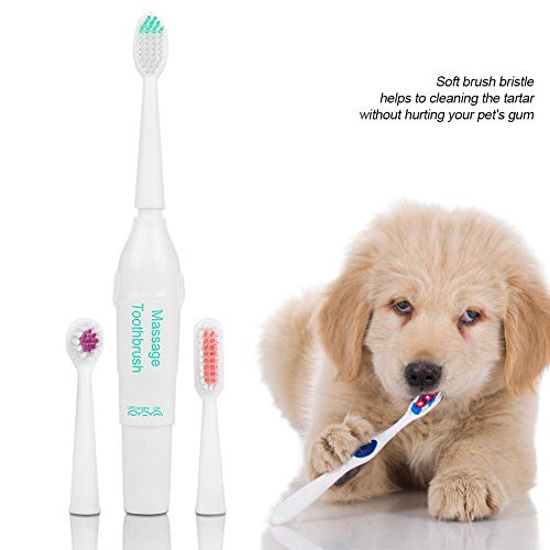 Kit de cepillo de dientes para mascotas, cepillo de dientes eléctrico antibacteriano para perros con 2 cabezales de cepillo, herramienta de onda de masaje para limpieza de mascotas sin batería(Verde)