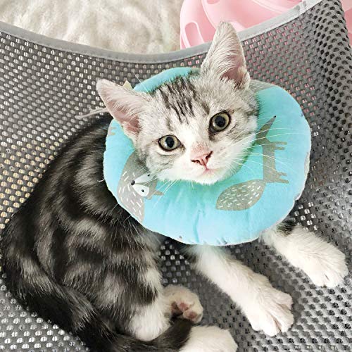 Kitchen-dream Collar Protector para Gatos, Collar de restauración para Gatos, Collar Protector para Mascotas Anillo Protector de algodón Antideslizante Protector Ajustable para Gatos y Perros (M)