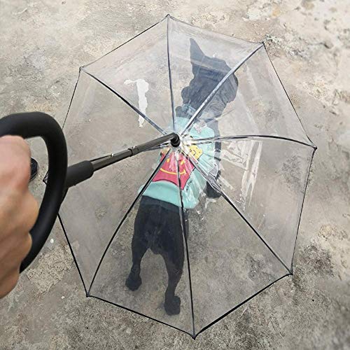 Knowledgi Paraguas para Perros de Mascotas Transparent con Correa y Mango en Forma de C - Impermeable para pasear Perros - Cambie el incómodo Impermeable para Perros