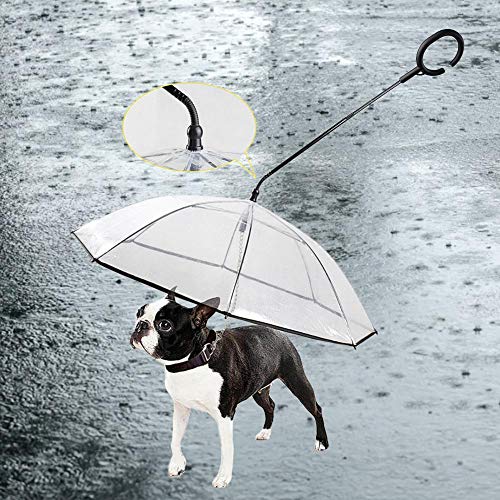 Knowledgi Paraguas para Perros de Mascotas Transparent con Correa y Mango en Forma de C - Impermeable para pasear Perros - Cambie el incómodo Impermeable para Perros