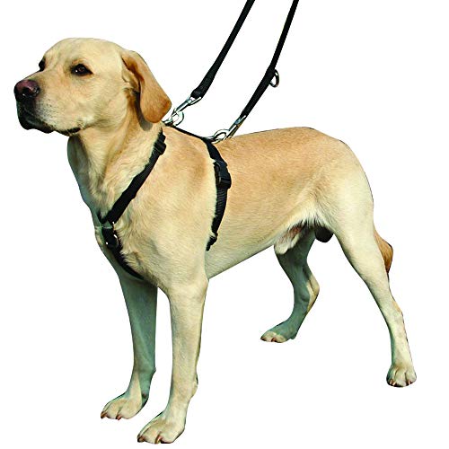 Kumfi Canine Kumfi - Arnés de Control Completo (Talla L)