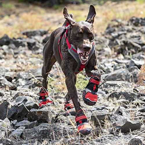 Kurgo Blaze Cross Zapatos para Perro, Botas para Perro, Zapatos para Perros Resistentes al Agua, Protectores de Patas para Todas Las Estaciones, Botas Reflectantes para Nieve, XL, Rojo/Negro