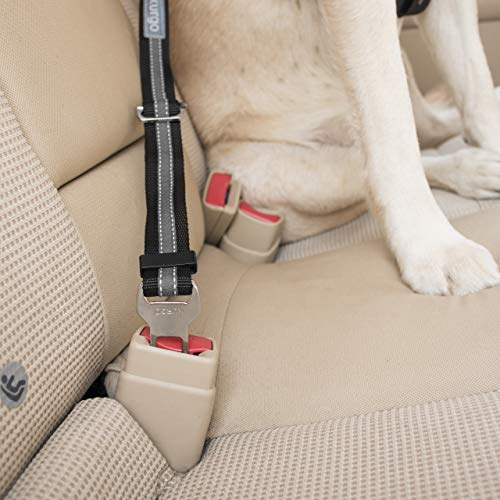Kurgo Cinturón de seguridad ajustable para perros, 2 unidades, color gris carbón