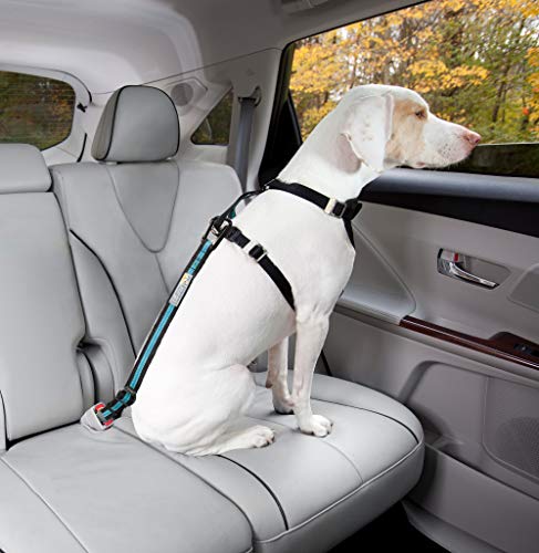 Kurgo Cinturón de Seguridad para Perros, Ajustable, con Hebilla para Coche, Correa de Perro Estilo Clip, Naranja/Negro