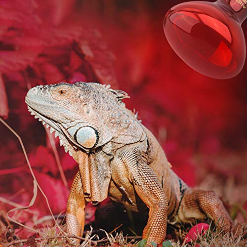 Lámpara de calor por infrarrojos – Lámpara de calor para reptiles que calienta el punto de luz para dragones de lagarto, tortuga y araña, 150 W, 2 unidades, color rojo