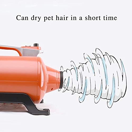 Lanzador de mascotas Secador de peluquería para perros 3000W 2 Temperatura del engranaje Velocidad continua con Manguera de resorte y 3 boquillas para perros y gatos