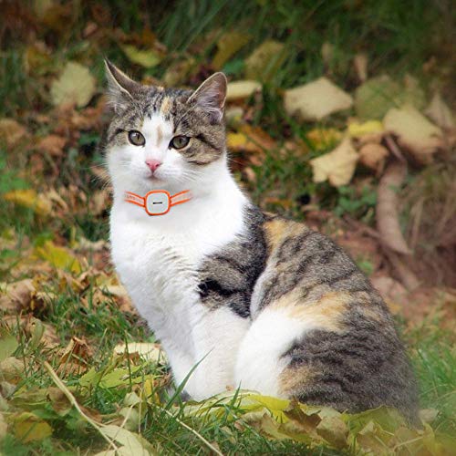 LD Shop-Pet Mini Gato Perro Mascota GPS Tracker Impermeable 2.160 Hora Espera gsm GPRS Seguimiento Localizador Y SOS Sistema De Alarma Dispositivo De Seguimiento