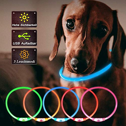 LED Collar Perro Collar de Seguridad, Collar de Perro de Mascota, Collar Luminoso Perro de Mascota, USB Recargable Collar de Seguridad para Mascotas Impermeable hasta (Blue)