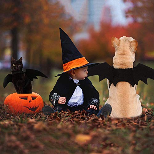 LIBRNTY Alas de Perro, Disfraz de Perro de murciélago de Halloween/Disfraces de Halloween para Mascotas para Perros medianos Grandes decoración de Cosplay