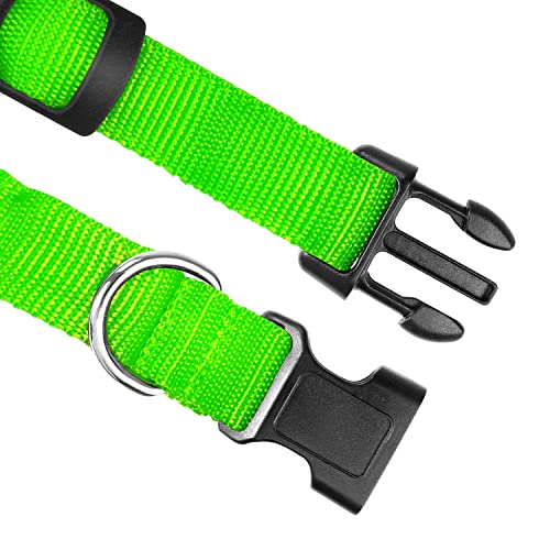 Liebsen Collar Luminoso Perro De Mascota, Collar Recargable 3 Modos y Collares LED Ajustable Para Perros Diferentes Luminoso en La Noche-M(Verde)