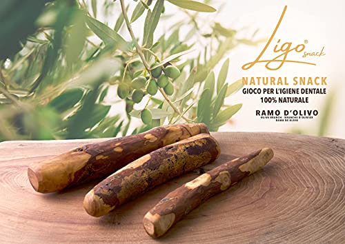 Ligo - rama de olivo, juguete mordidor para perros, 100 % natural, ideal para la higiene dental (221 – 450 g)