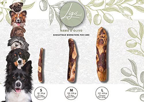 Ligo - rama de olivo, juguete mordidor para perros, 100 % natural, ideal para la higiene dental (221 – 450 g)