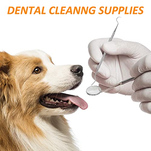 Limpiador de Dientes para Perro Sarro Dental Limpiador Mascota Herramienta de Cuidado Bucal de Acero Inoxidable 5 Piezas